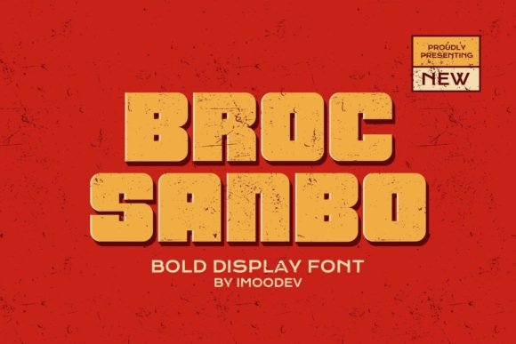 Testing Broc Sanbo in a Real Branding Project